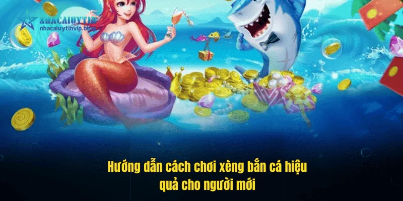 Hướng dẫn cách chơi xèng bắn cá hiệu quả cho người mới
