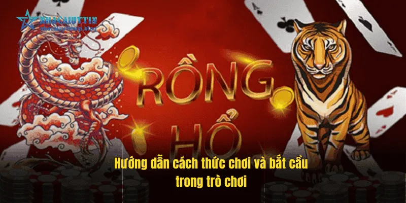 Hướng dẫn cách thức chơi và bắt cầu trong trò chơi