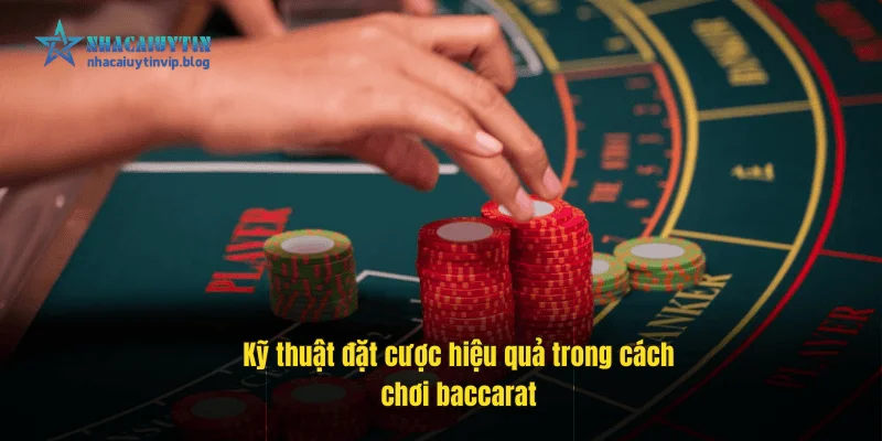 Kỹ thuật đặt cược hiệu quả trong cách chơi baccarat