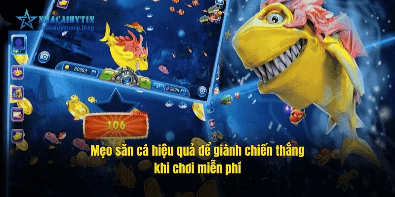 Mẹo săn cá hiệu quả để giành chiến thắng khi chơi miễn phí.