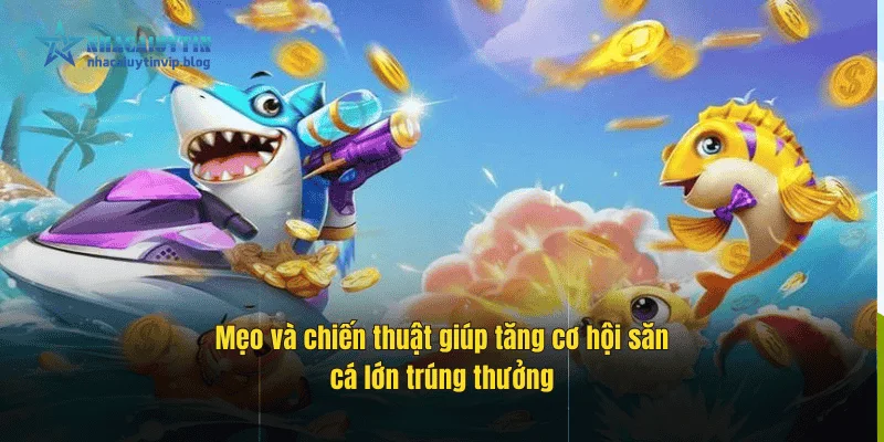 Mẹo và chiến thuật giúp tăng cơ hội săn cá lớn trúng thưởng