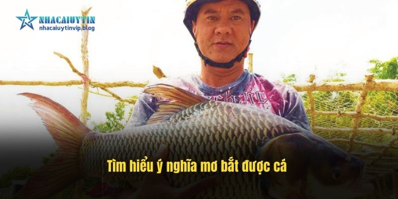 tim-hieu-y-nghia-mo-bat-duoc-ca