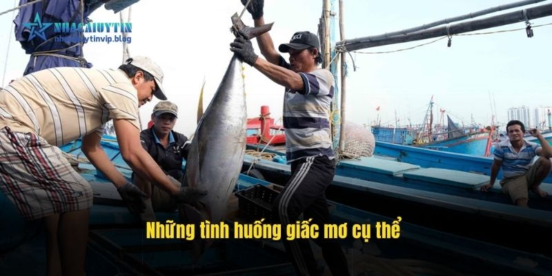 nhung-tinh-huong-giac-mo-cu-the