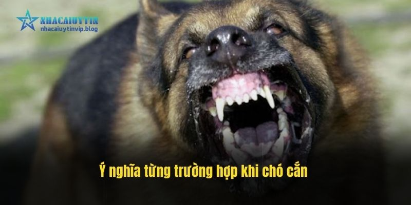 Ý nghĩa từng trường hợp khi chó cắn