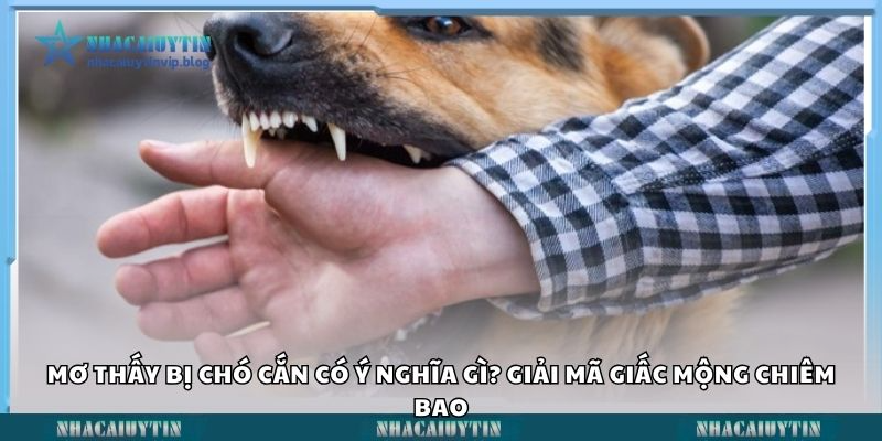mơ thấy bị chó cắn