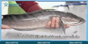 Mơ thấy cá lóc