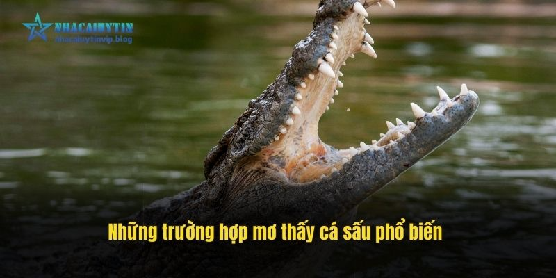 Những trường hợp mơ thấy cá sấu phổ biến