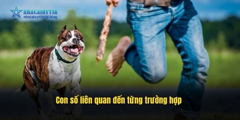 Con số liên quan đến từng trường hợp