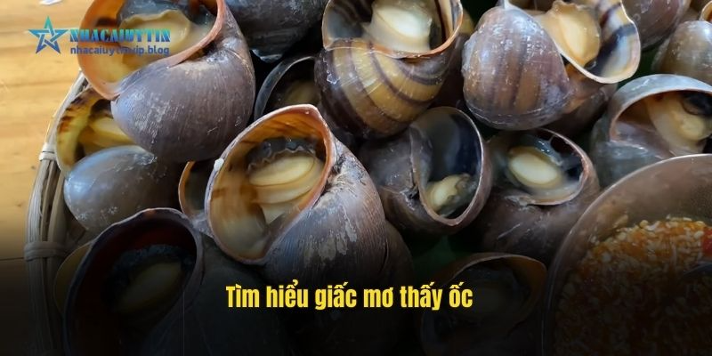 Tìm hiểu giấc mơ thấy ốc