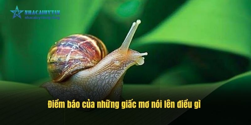 Điềm báo của những giấc mơ nói lên điều gì