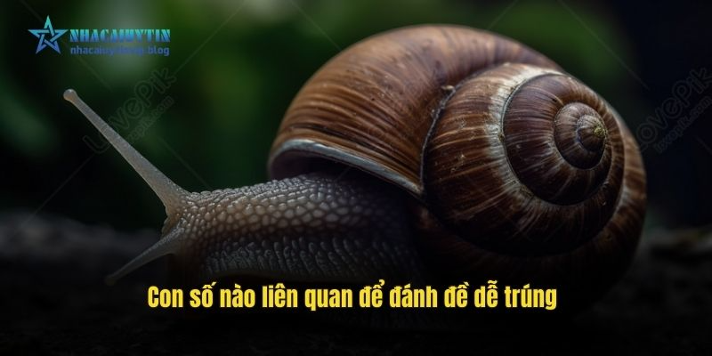 Con số nào liên quan để đánh đề dễ trúng