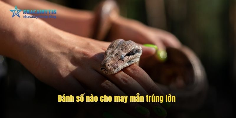 Đánh số nào cho may mắn trúng lớn