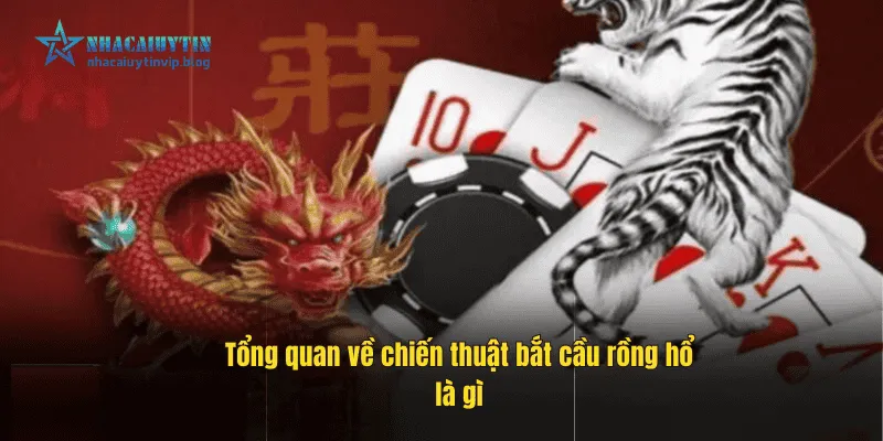Tổng quan về chiến thuật bắt cầu rồng hổ là gì